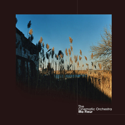 The Cinematic Orchestra: Ma Fleur [ Vinyl ]