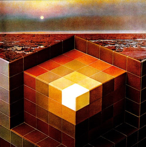 Black Mountain: In the Future [ Vinyl ]