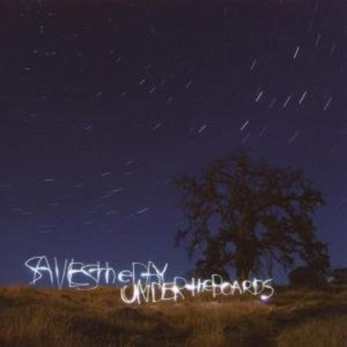 Saves the Day: Under the Boards [ Vinyl ]