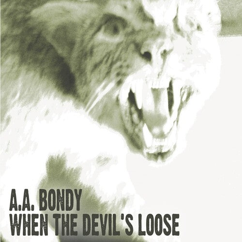 A.A. Bondy: When the Devil's Loose [ Vinyl ]