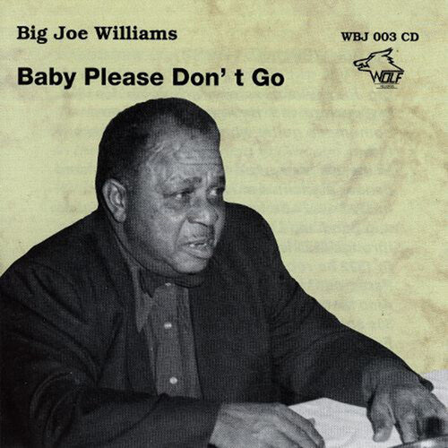 Big Joe Williams: Baby Please Don't Go - Compact Disc