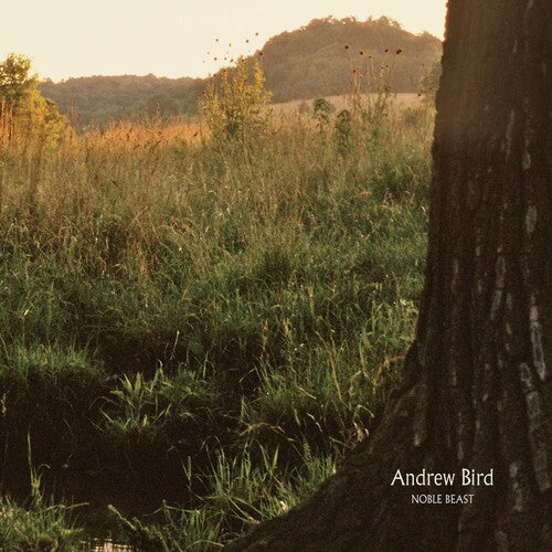 Andrew Bird: Noble Beast [ Vinyl ]