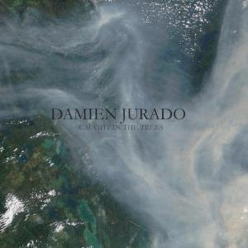 Damien Jurado: Caught in the Trees [ Vinyl ]