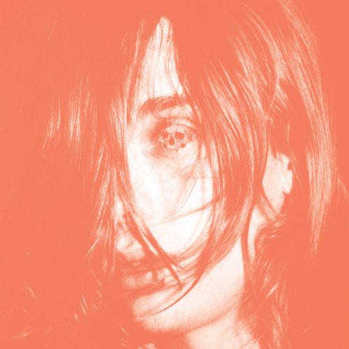 Deerhunter: Microcastle [ Vinyl ]