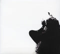 Gato Barbieri: In Search Of The Mystery - CD