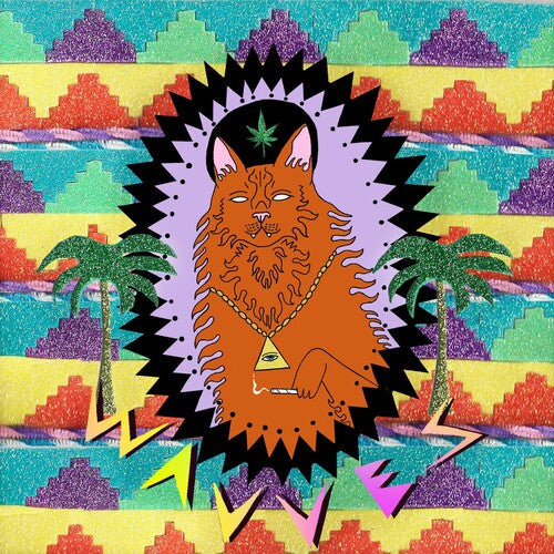 Wavves: King of the Beach [ Vinyl ]