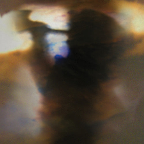 Animal Collective: Fall Be Kind [ Vinyl ]
