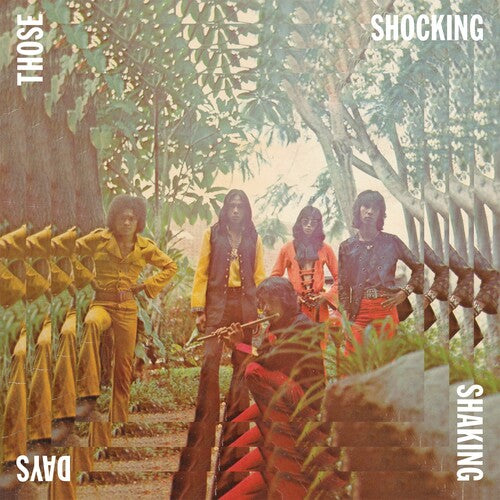 Various Artists: Those Shocking Shaking Days [ Vinyl ]