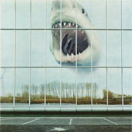 Black Mountain: Wilderness Heart [ Vinyl ]