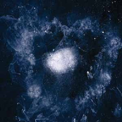 Swans: My Father Will Guide Me Up a Rope to the Sky [ Vinyl ]
