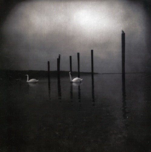 Om: Conference of the Birds [ Vinyl ]
