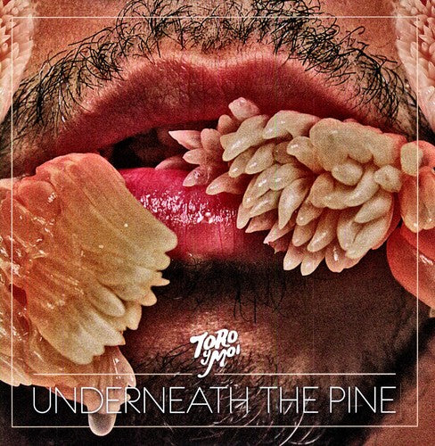 Toro y Moi: Underneath the Pine [ Vinyl ]