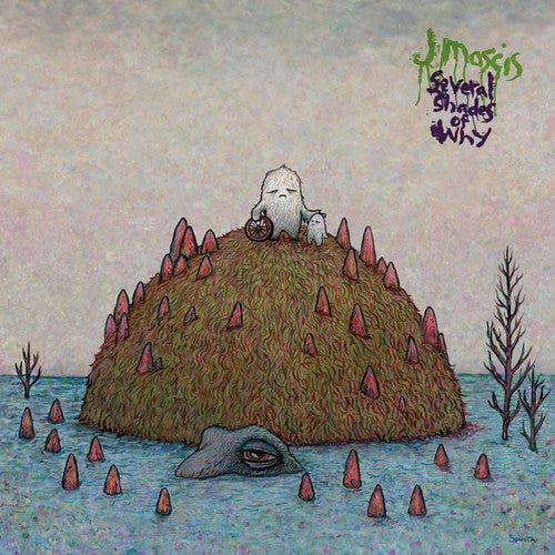 J Mascis: Several Shades of Why [ Vinyl ]