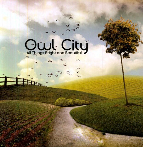 Owl City: All Things Bright and Beautiful [ Vinyl ]