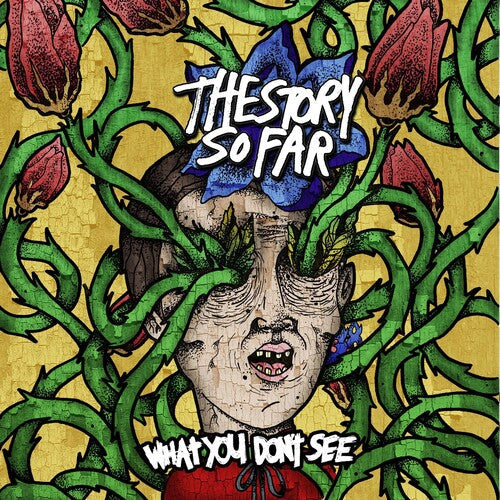 The Story So Far: What You Don't See [ Vinyl ]