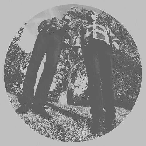 Ty Segall: Hair [ Vinyl ]