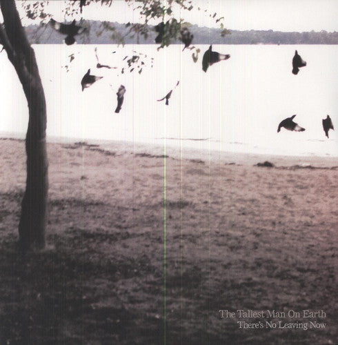 The Tallest Man on Earth: There's No Leaving Now [ Vinyl ]