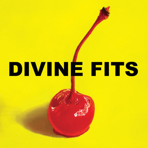 Divine Fits: A Thing Called Divine Fits [ Vinyl ]