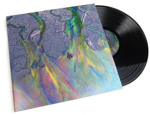 Alt-J: An Awesome Wave [ Vinyl ]