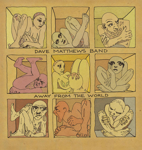 Dave Matthews: Away from the World [ Vinyl ]