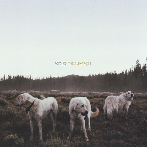 Foxing: Albatross [ Vinyl ]