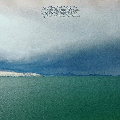 Modest Mouse: Fruit That Ate Itself [ Vinyl ]