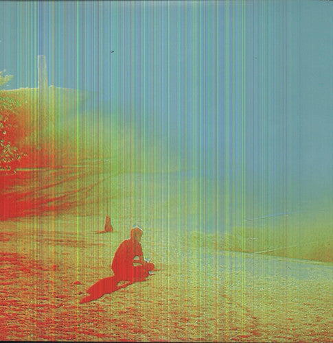 The Flaming Lips: The Terror [ Vinyl ]