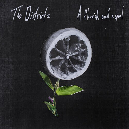 The Districts: Flourish and a Spoil [ Vinyl ]