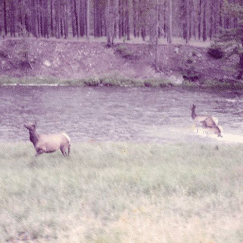 Seahaven: Ghost + Acoustic Sessions [ Vinyl ]