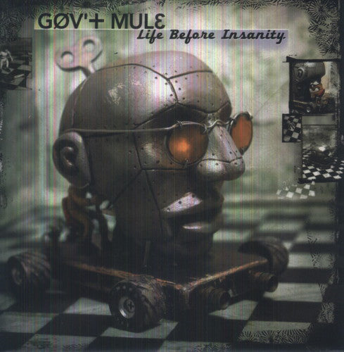 Gov't Mule: Life Before Insanity [ Vinyl ]