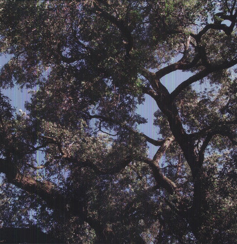 Charles Manson: Trees [ Vinyl ]