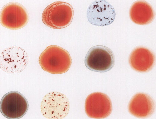 Peter Gabriel: Scratch My Back & I'll Scratch Yours [ Vinyl ]