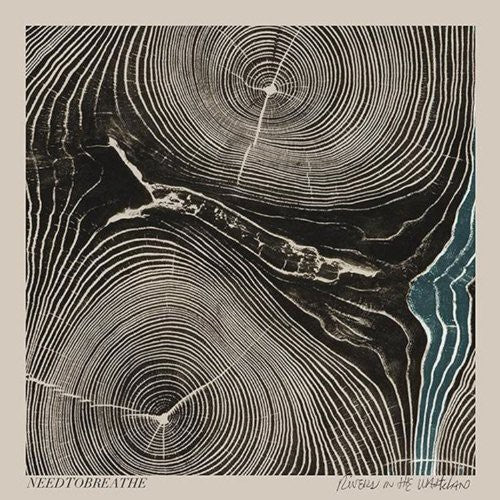 Needtobreathe: Rivers in the Wasteland [ Vinyl ]