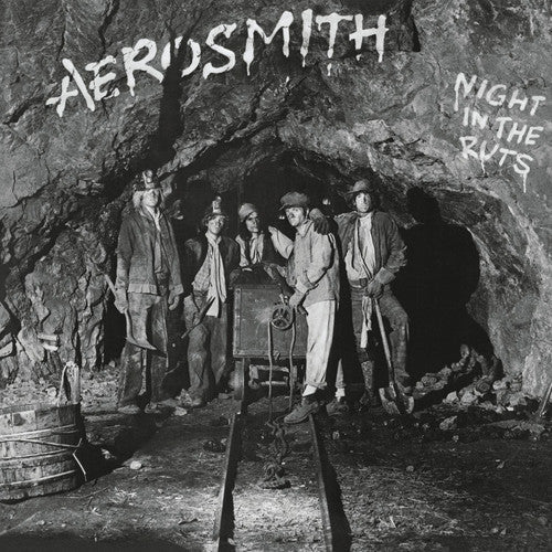 Aerosmith: Night in the Ruts [ Vinyl ]