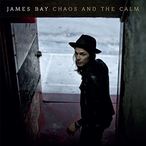 James Bay: Chaos & the Calm [ Vinyl ]