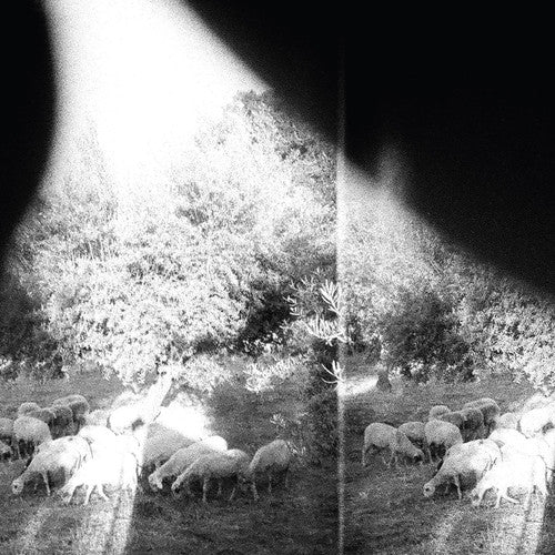 Godspeed You! Black Emperor: Asunder Sweet & Other Distress [ Vinyl ]