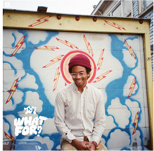 Toro y Moi: What for [ Vinyl ]