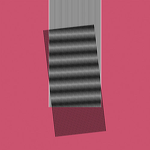 Hot Chip: Why Make Sense [ Vinyl ]