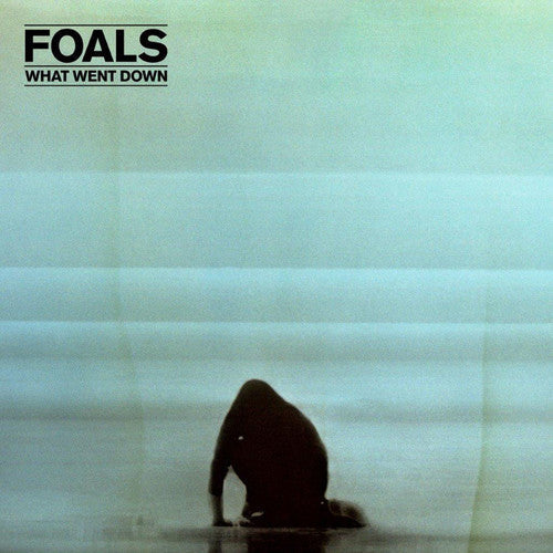 Foals: What Went Down [ Vinyl ]
