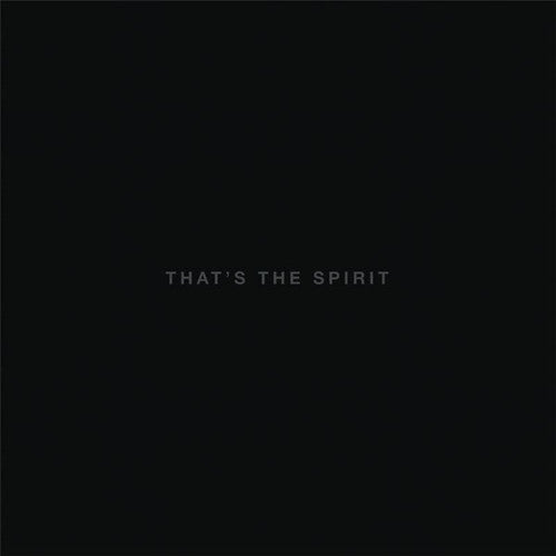 Bring Me the Horizon: That's The Spirit [ Vinyl ]