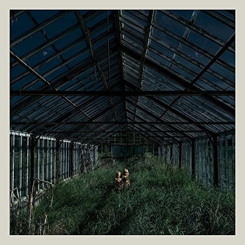 Foxing: Dealer [ Vinyl ]