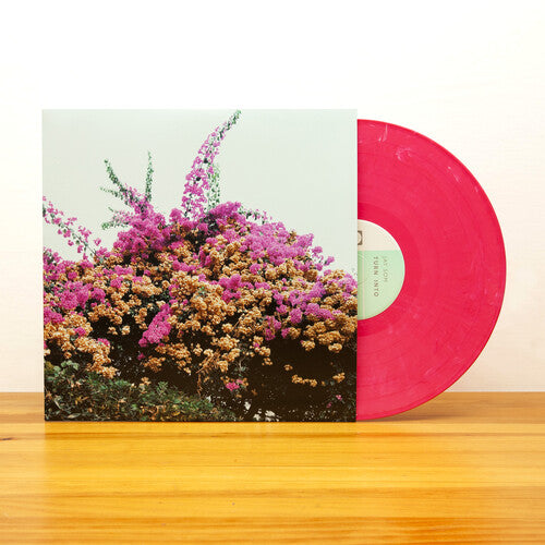 Jay Som: Turn Into [ Vinyl ]