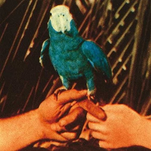 Andrew Bird: Are You Serious [ Vinyl ]