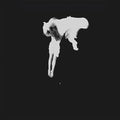 Kaleida: Tear The Roots [ Vinyl ]