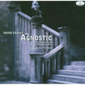 Stephanie Gregory: David Chesky the Agnostic - Compact Disc