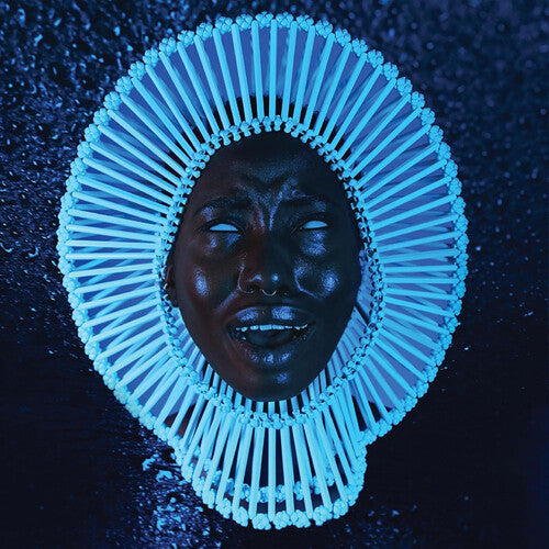 Childish Gambino: Awaken My Love [ Vinyl ]