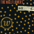 The Wallflowers: Bringing Down The Horse [ Vinyl ]