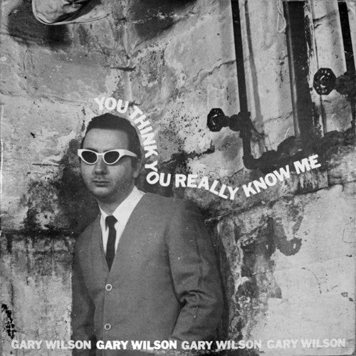 Gary Wilson: You Think You Really Know Me [ Vinyl ]
