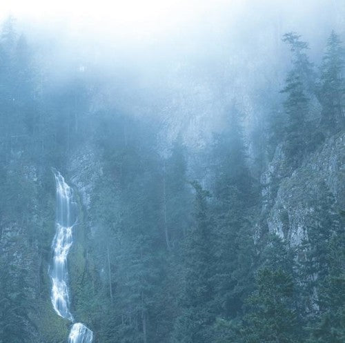 Wolves in the Throne Room: Diadem Of 12 Stars [ Vinyl ]