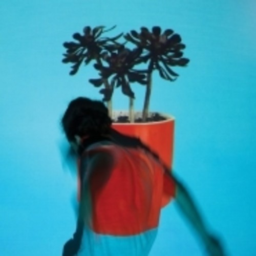 Local Natives: Sunlit Youth [ Vinyl ]
